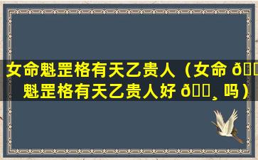 女命魁罡格有天乙贵人（女命 🐼 魁罡格有天乙贵人好 🌸 吗）